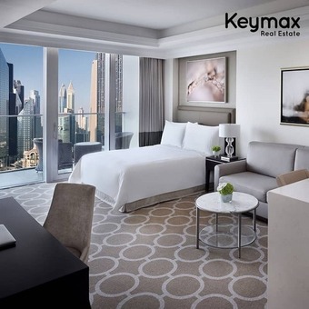 Luxurious spacious apartment with services