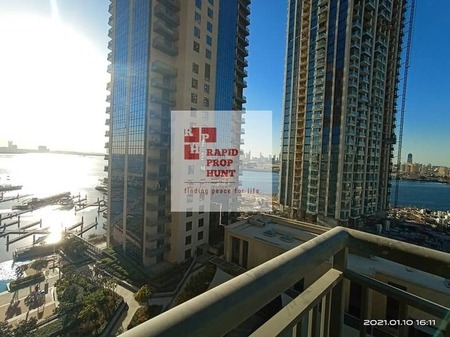 Specious | Festival City View | Ready To Move In